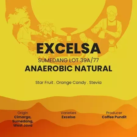 Excelsa Lot 39A/77