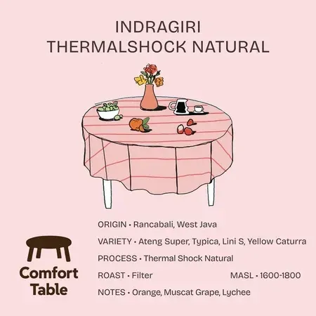 Indragiri Thermalshock Natural