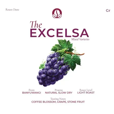 Excelsa Banyuwangi