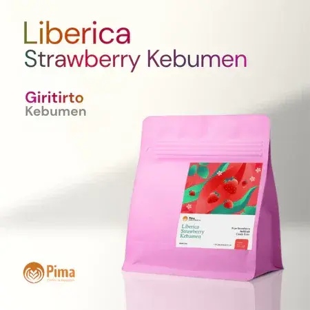 Liberica Strawberry Kebumen