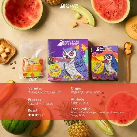 GAYO JUSTJUICE WATERMELON