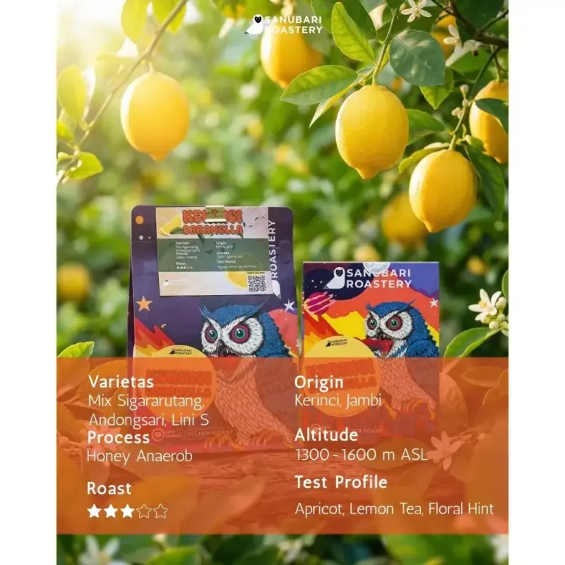 Kerinci Caramela Honey Anaerob