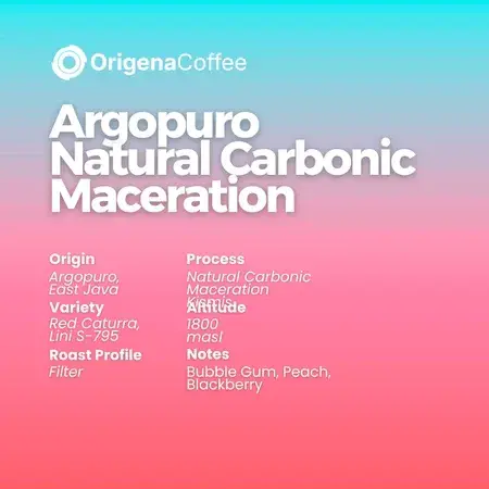 Argopuro Natural Carbonic Maceration