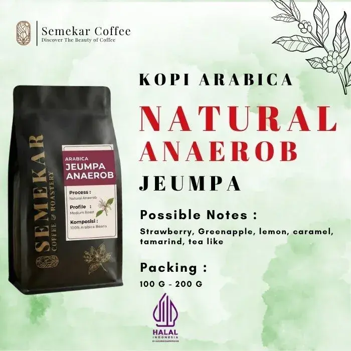 Jeumpa Natural Anaerob