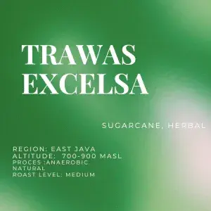 Trawas Excelsa