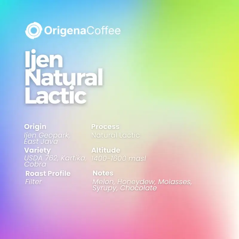 Ijen Natural Lactic