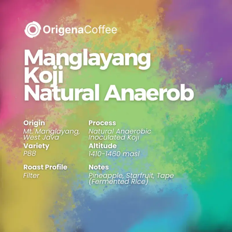 Manglayang Koji Natural Anaerob