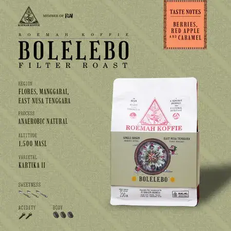 Bolelebo