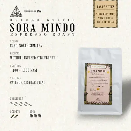 Sora Mindo