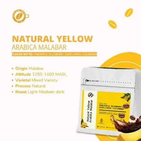Natural Yellow Arabika Malabar
