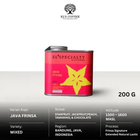 JAVA FRINSA
