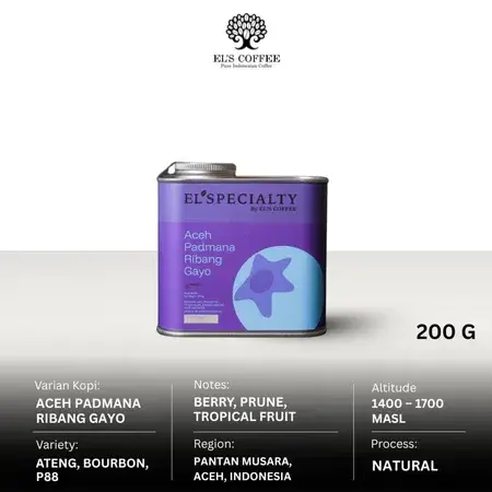 ACEH PADMANA RIBANG GAYO